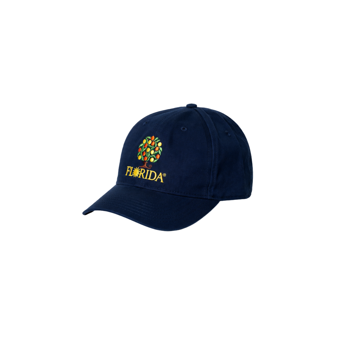 Navy &