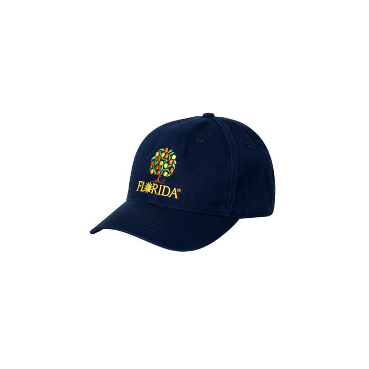 Navy &