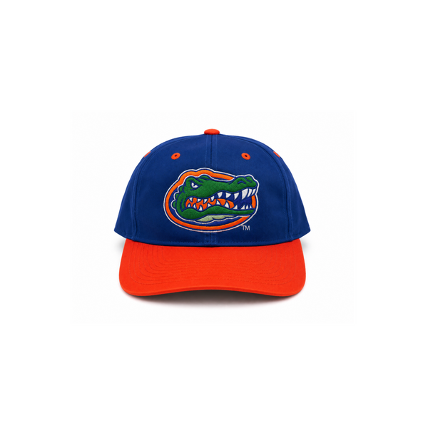Blue and Orange Gators Hat