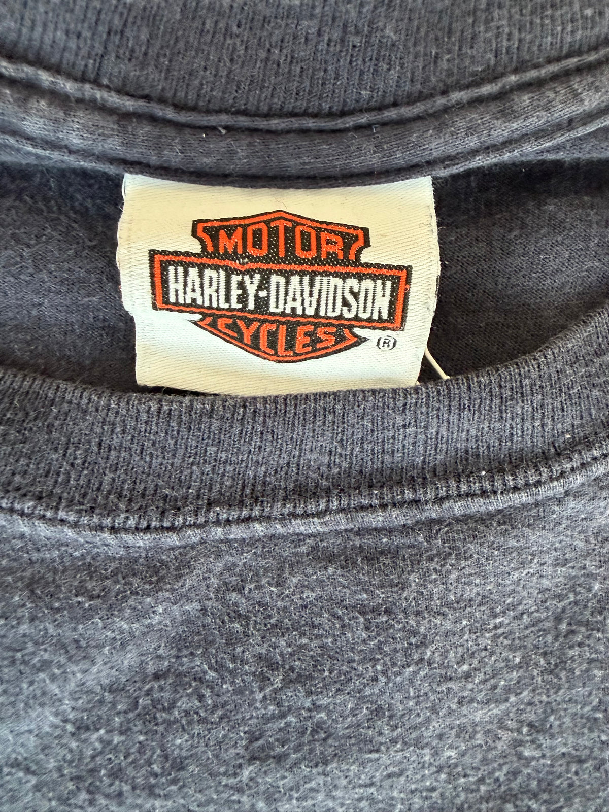 Harley-Davidson Alligator Alley Fort Lauderdale Graphic T-Shirt