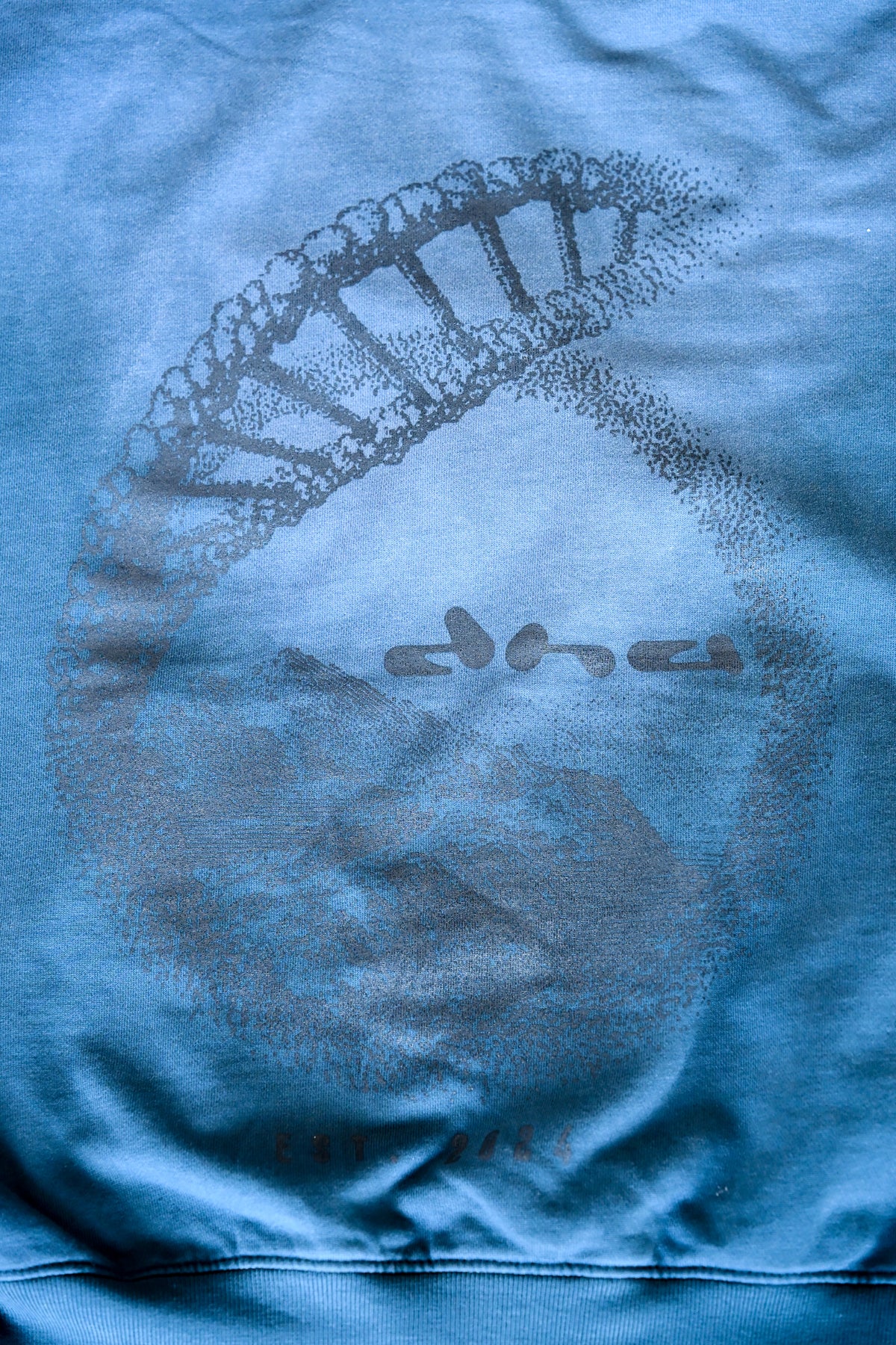 The Source Hoodie - PALO AZUL
