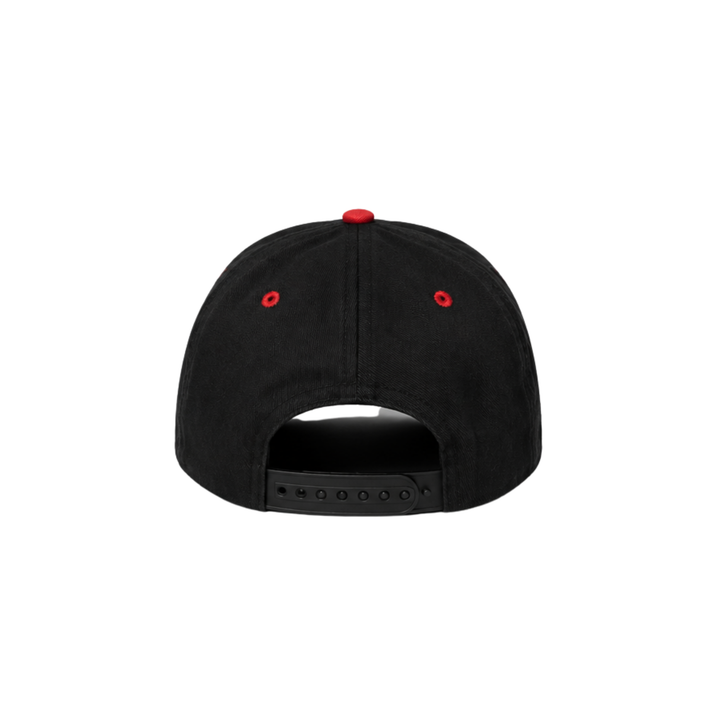 Vintage Jurassic Park Ball Cap