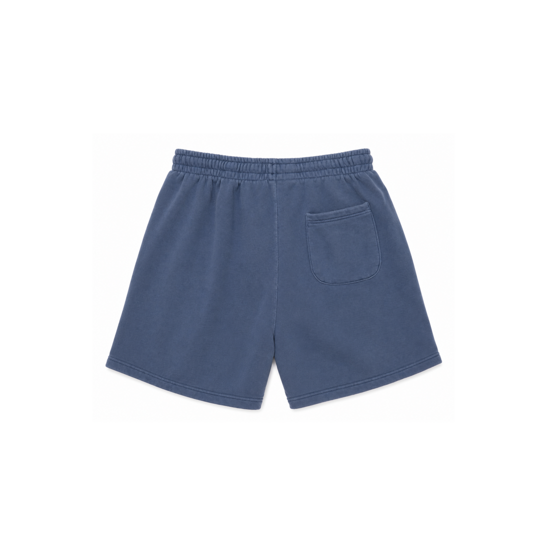 DNA Stitch Dunk Short - Archive Blue