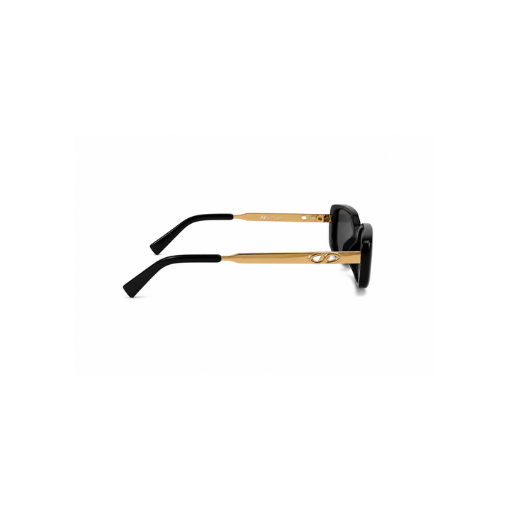 Black &amp; Gold &