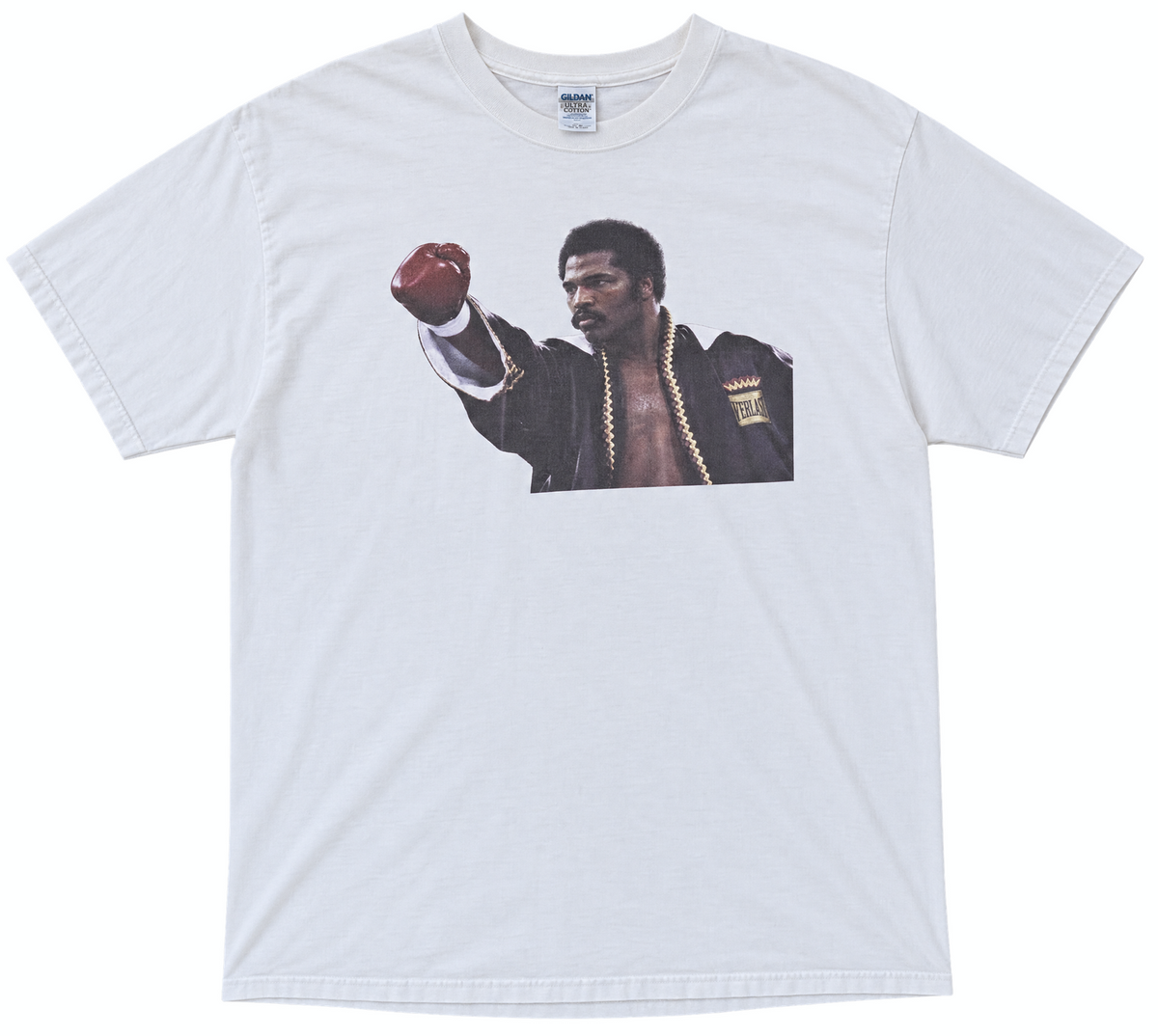 Vintage 'Aaron "The Hawk" Pryor' Graphic T-Shirt
